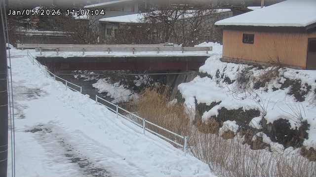 湯河川１2026/01/05 11:30:00