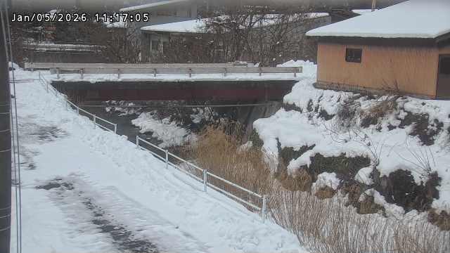 湯河川１2026/01/05 11:30:00