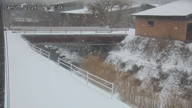 湯河川１2026/01/11 13:20:00