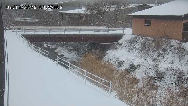 湯河川１2026/01/11 13:20:00
