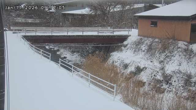 湯河川１2026/01/11 13:20:00