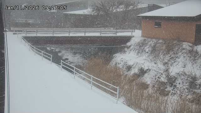 湯河川１2026/01/11 13:20:00