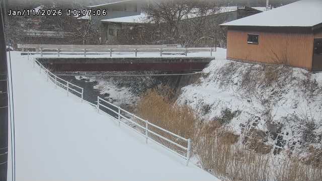湯河川１2026/01/11 13:20:00