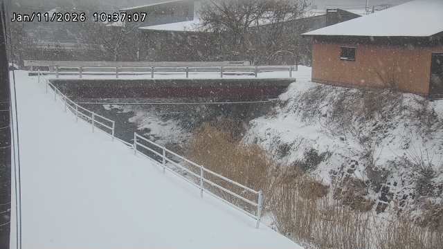 湯河川１2026/01/11 13:20:00