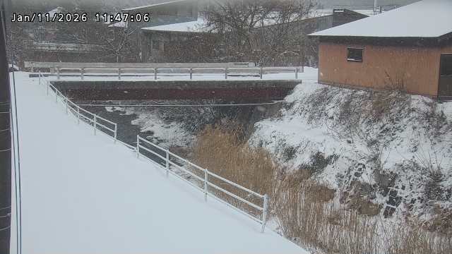 湯河川１2026/01/11 13:20:00