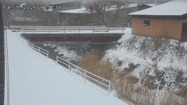 湯河川１2026/01/11 13:20:00