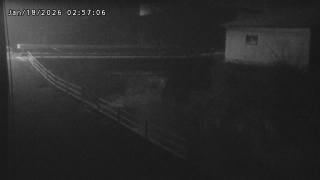 湯河川１2026/01/18 13:20:00