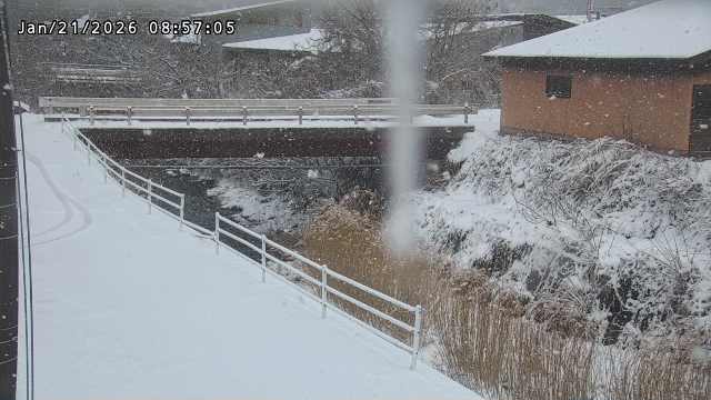 湯河川１2026/01/21 14:40:00