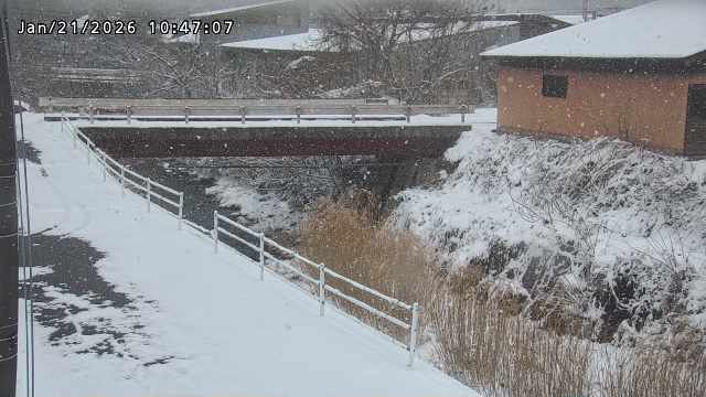 湯河川１2026/01/21 14:40:00