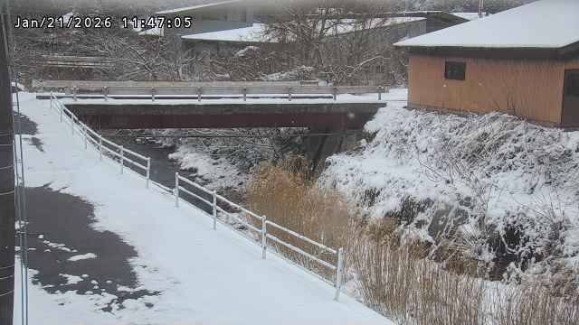 湯河川１2026/01/21 14:40:00