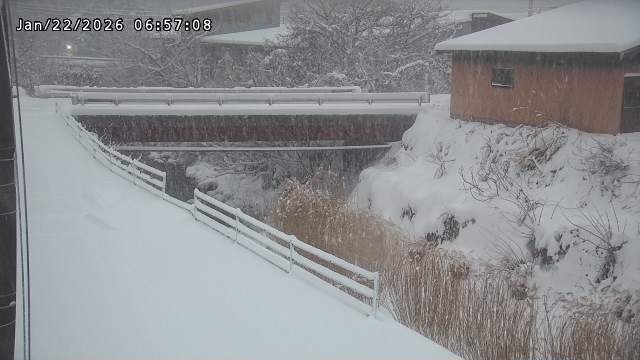 湯河川１2026/01/22 16:00:00