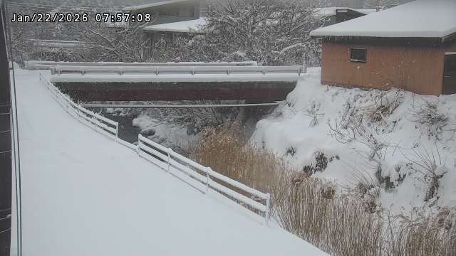 湯河川１2026/01/22 16:00:00