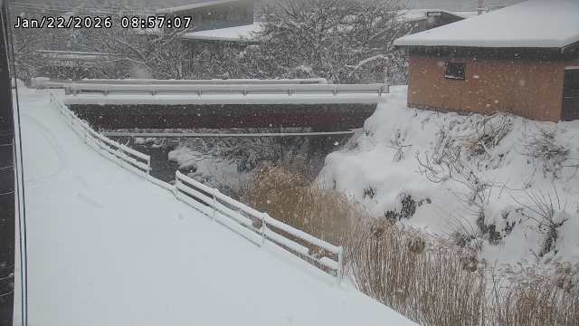 湯河川１2026/01/22 16:00:00