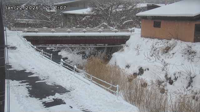 湯河川１2026/01/22 16:00:00