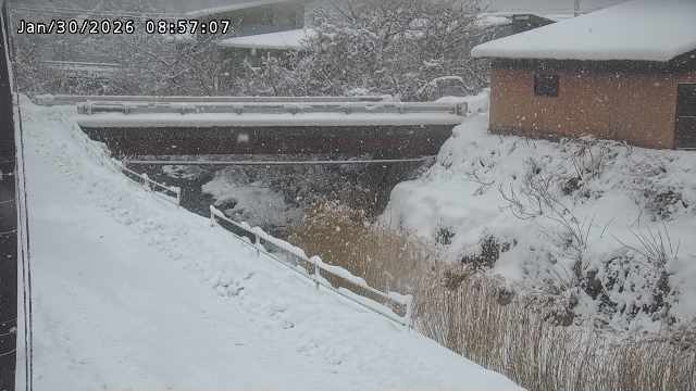 湯河川１2026/01/31 9:40:00