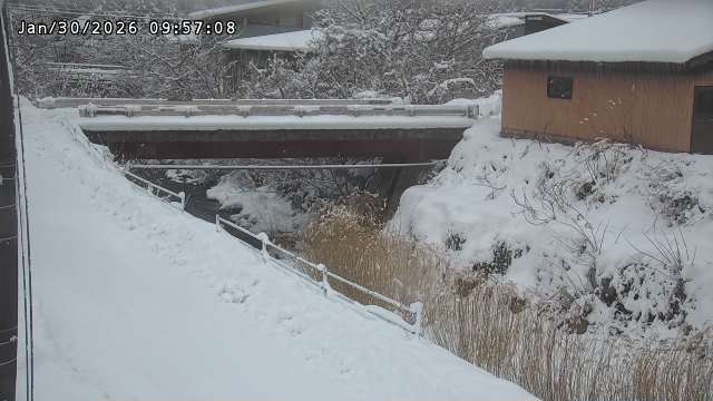 湯河川１2026/01/31 9:40:00