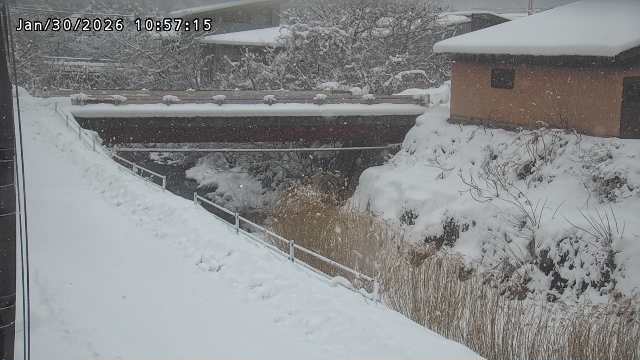 湯河川１2026/01/31 9:40:00