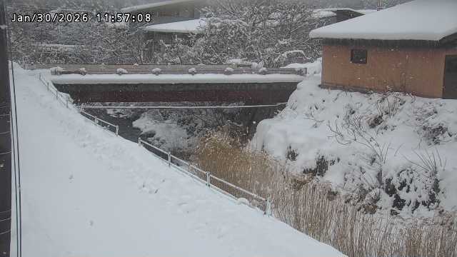 湯河川１2026/01/31 9:40:00