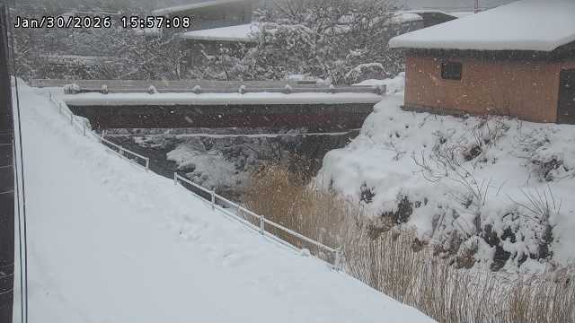 湯河川１2026/01/31 9:40:00