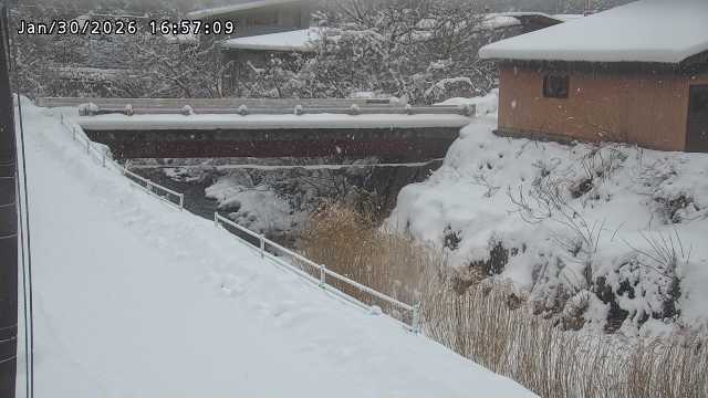 湯河川１2026/01/31 9:40:00