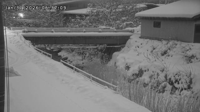 湯河川１2026/01/31 9:40:00