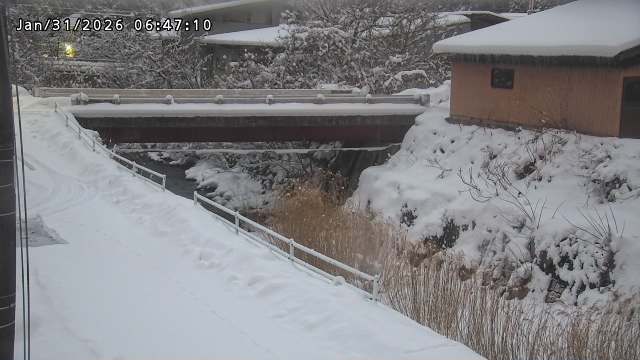 湯河川１2026/01/31 9:40:00