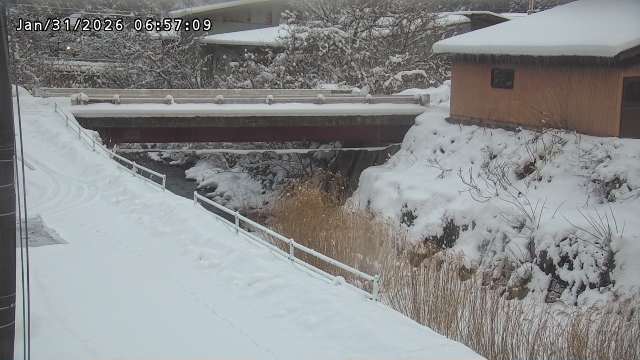 湯河川１2026/01/31 9:40:00