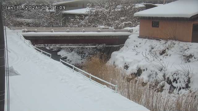 湯河川１2026/01/31 9:40:00