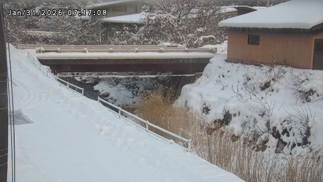 湯河川１2026/01/31 9:40:00