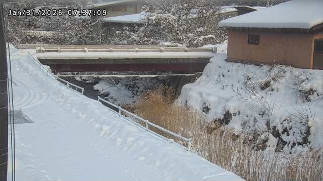 湯河川１2026/01/31 9:40:00