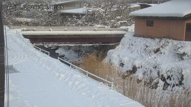 湯河川１2026/01/31 9:40:00
