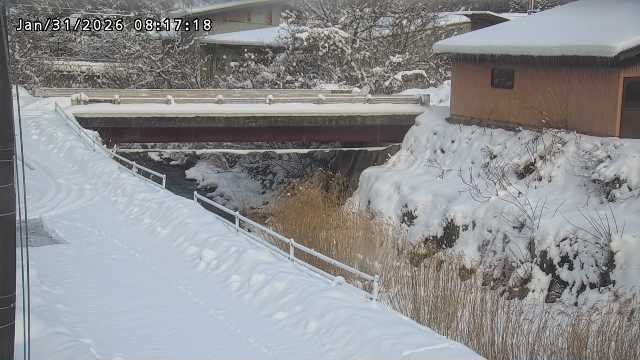 湯河川１2026/01/31 9:40:00