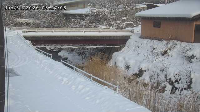 湯河川１2026/01/31 9:40:00