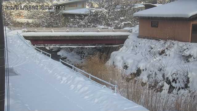 湯河川１2026/01/31 9:40:00