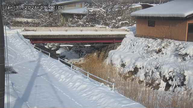 湯河川１2026/01/31 9:40:00