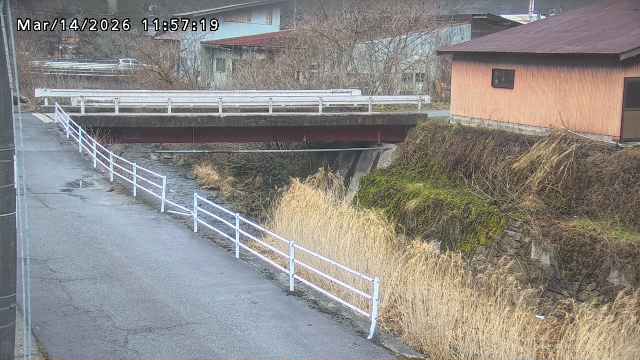湯河川１2026/03/14 13:50:00