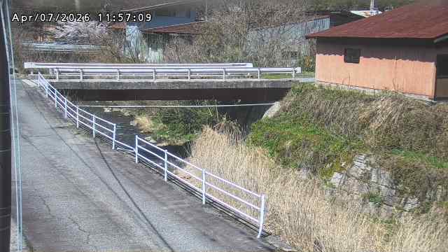 湯河川１2026/04/08 9:50:00