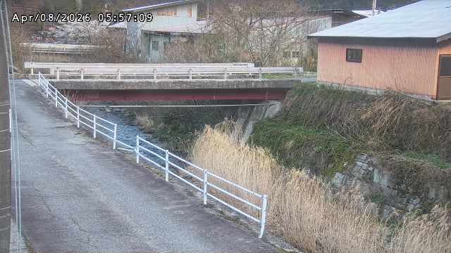 湯河川１2026/04/08 9:50:00