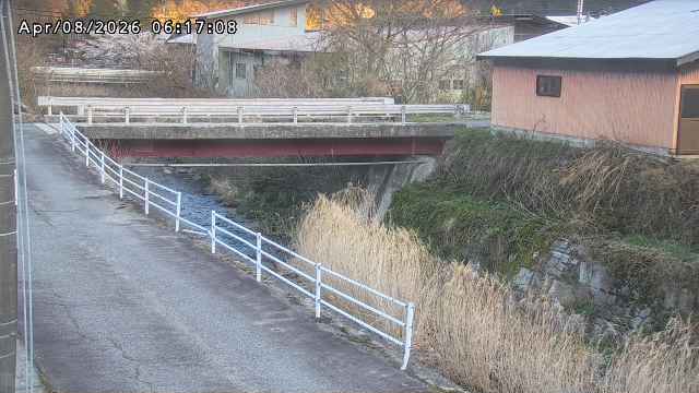 湯河川１2026/04/08 9:50:00