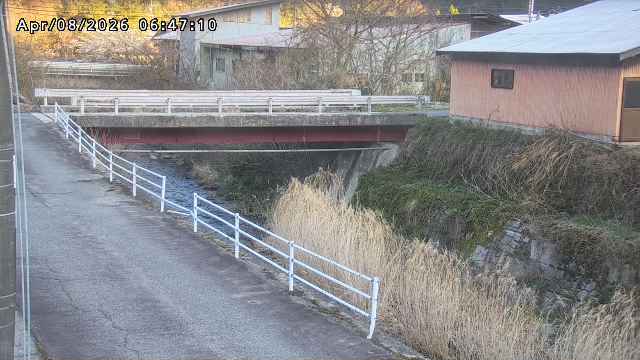 湯河川１2026/04/08 9:50:00