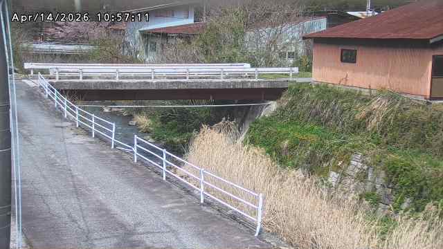湯河川１2026/04/15 10:00:00