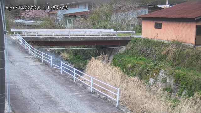 湯河川１2026/04/15 10:00:00