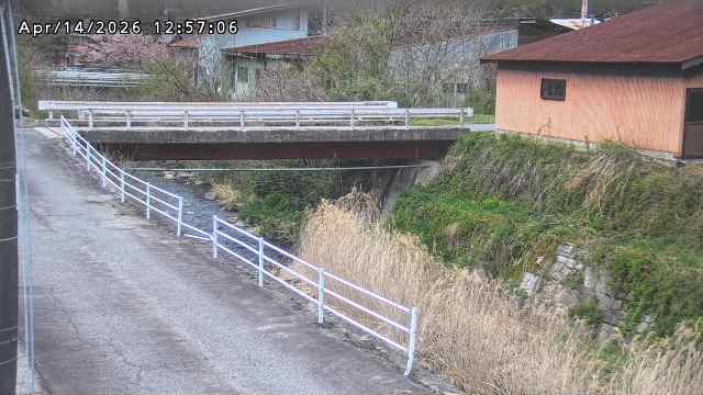 湯河川１2026/04/15 10:00:00
