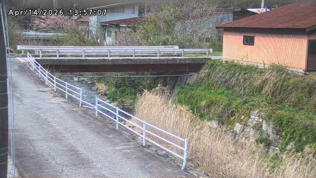 湯河川１2026/04/15 10:00:00