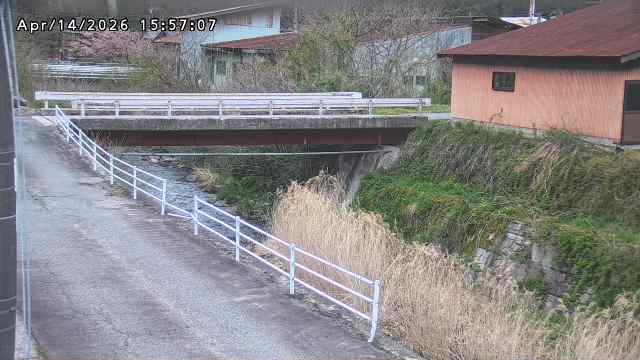 湯河川１2026/04/15 10:00:00