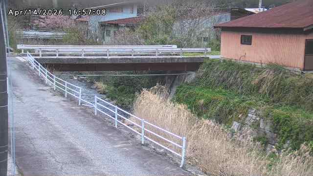 湯河川１2026/04/15 10:00:00