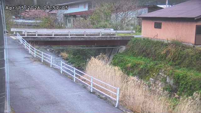 湯河川１2026/04/15 10:00:00