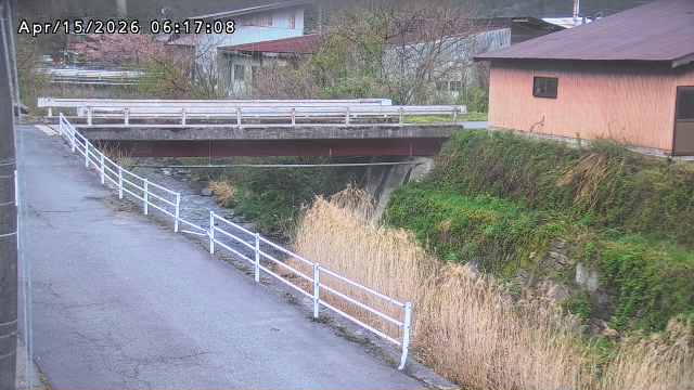 湯河川１2026/04/15 10:00:00