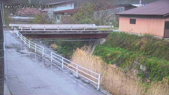 湯河川１2026/04/15 10:00:00
