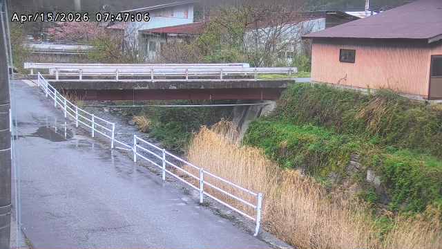湯河川１2026/04/15 10:00:00